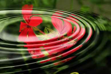 relaxation water wave circle